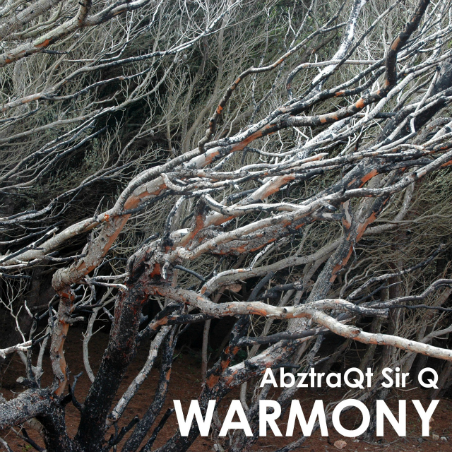 Warmony - AbztraQt Sir Q